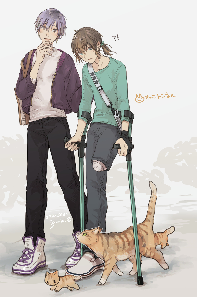 This is a pixiv picture whose title is ねこちゃん通り道.