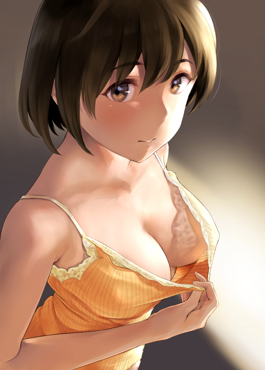 This is a pixiv picture whose title is チラ見せ飛龍.