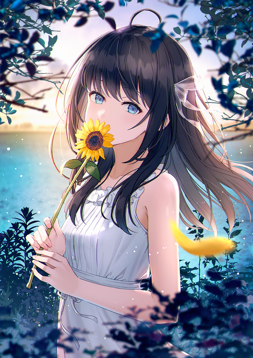 This is a pixiv picture whose title is 夏の終わり.