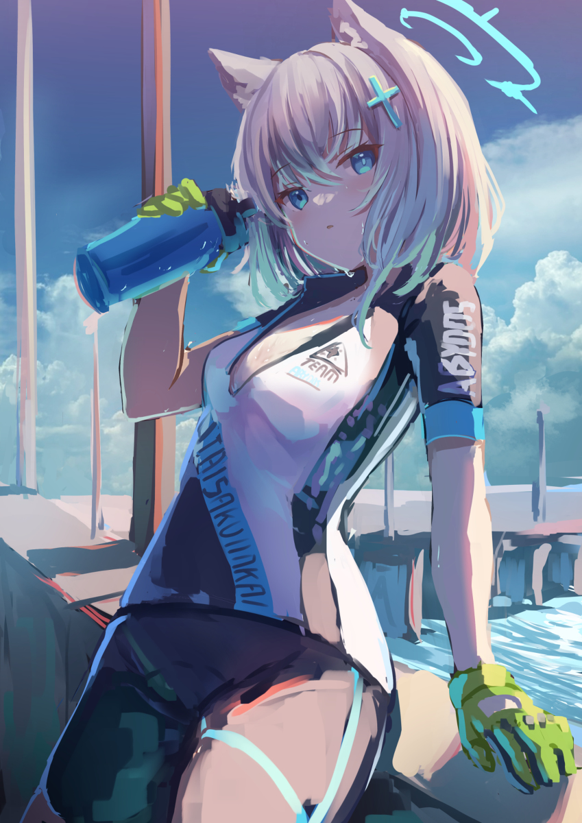 This is a pixiv picture whose title is シロコ.