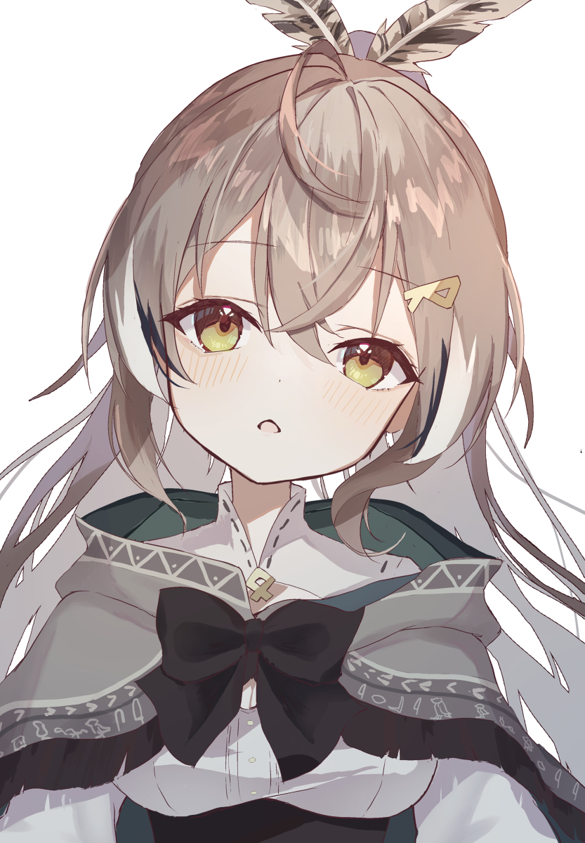 This is a pixiv picture whose title is ??.