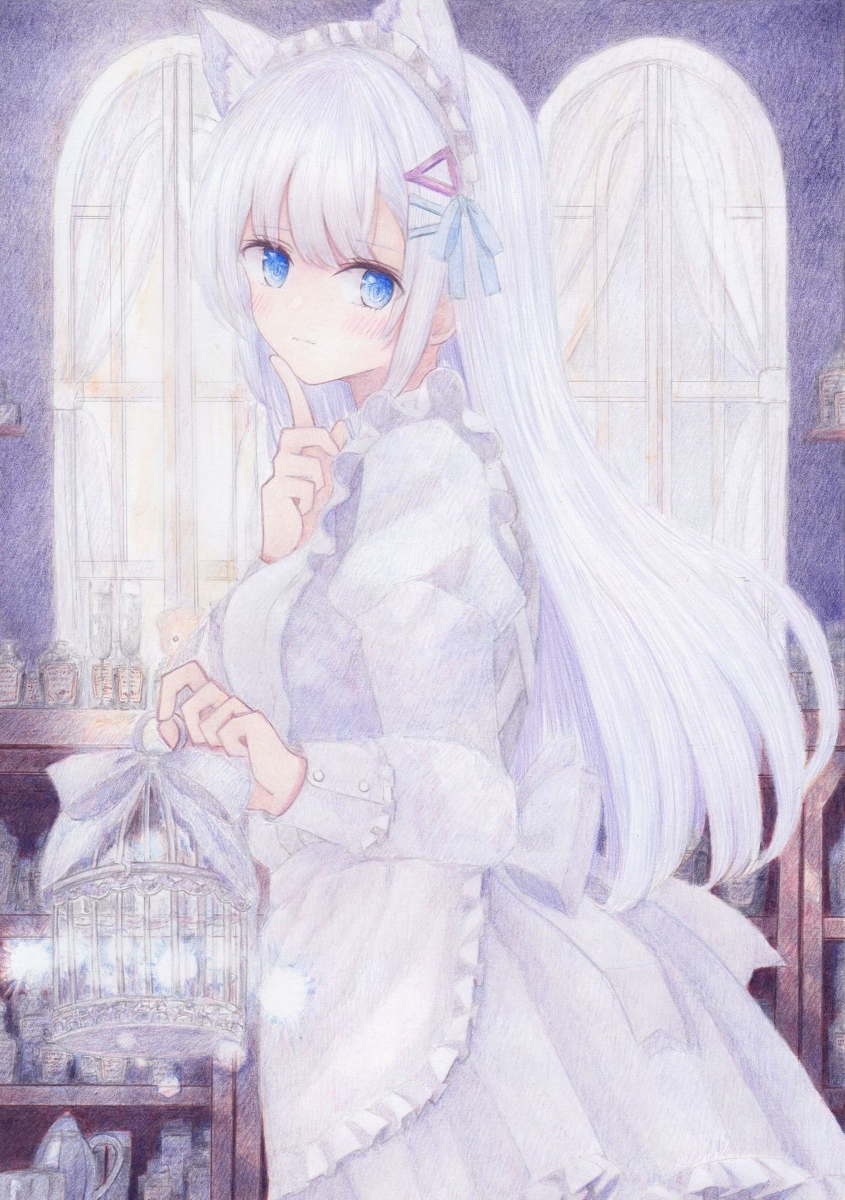 This is a pixiv picture whose title is 白猫ちゃん.