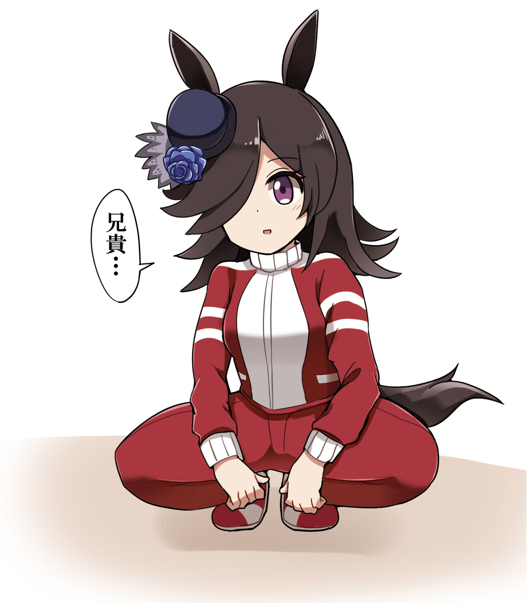 This is a pixiv picture whose title is ちょっとグレたライス.