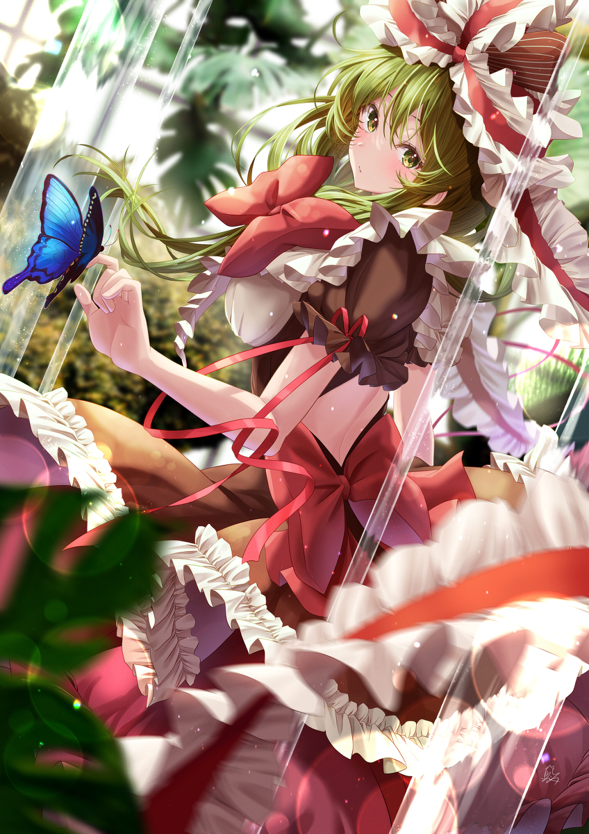 This is a pixiv picture whose title is 鳳蝶.