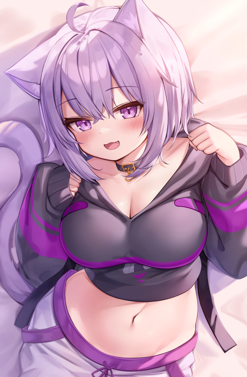 This is a pixiv picture whose title is ニャ~.