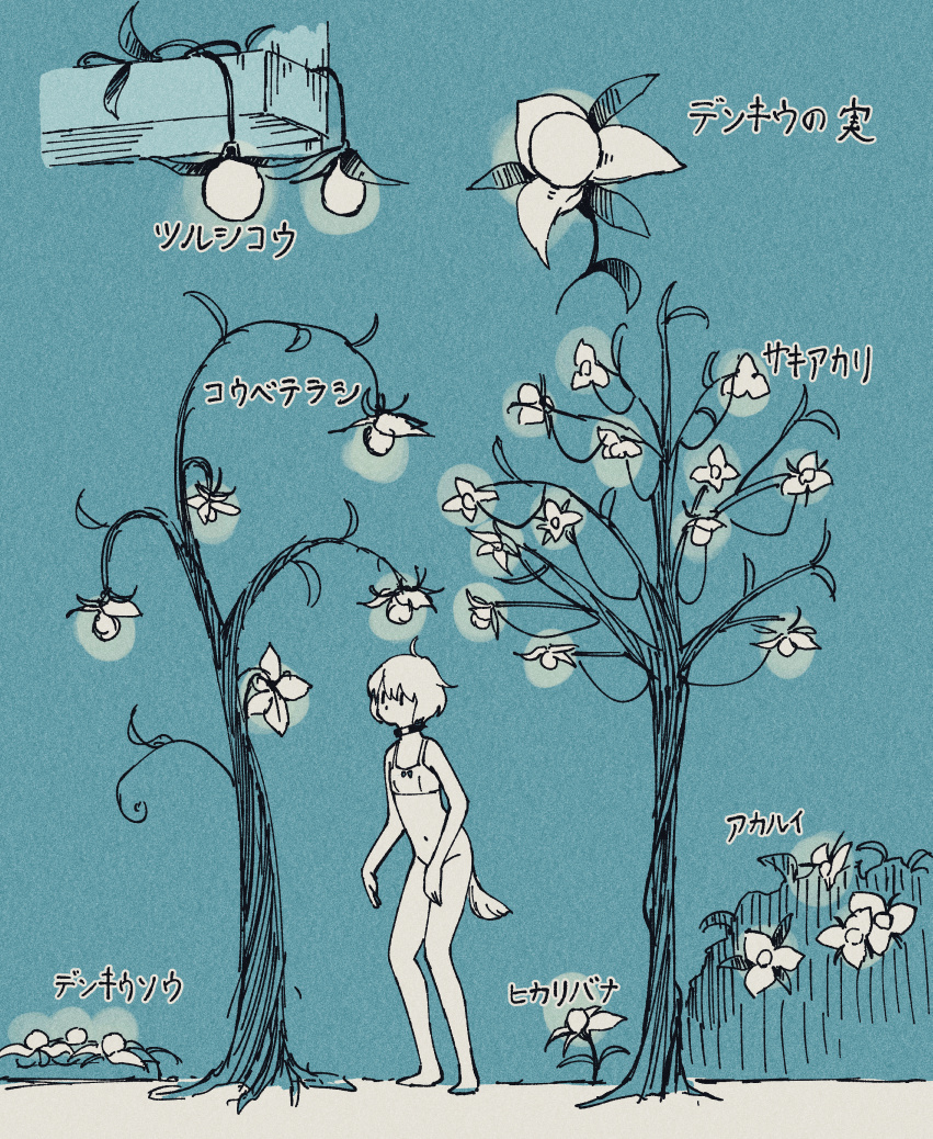 This is a pixiv picture whose title is ビャッコパシティの植物.