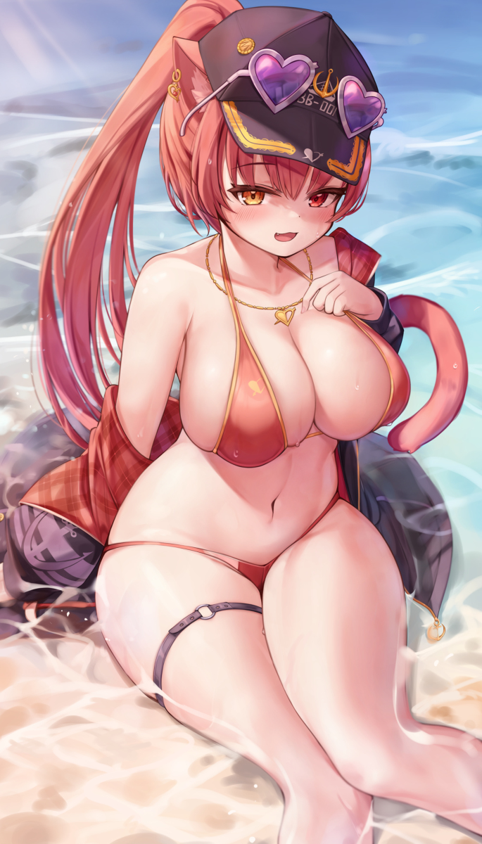 This is a pixiv picture whose title is 猫船長.