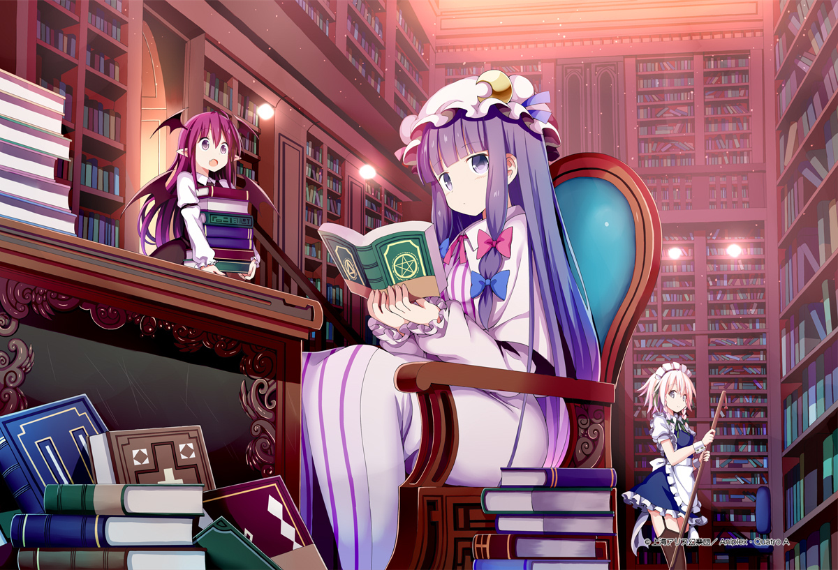 This is a pixiv picture whose title is 紅魔館の大図書館.