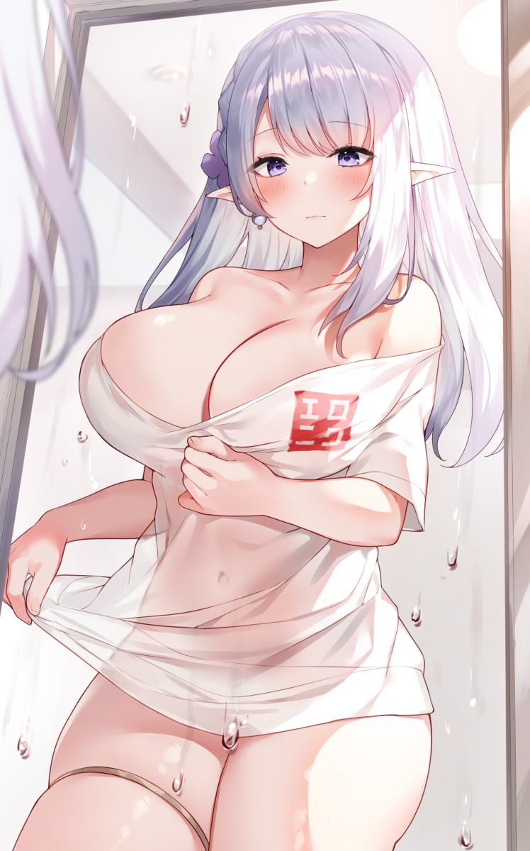 This is a pixiv picture whose title is 透けシャツエロフ.