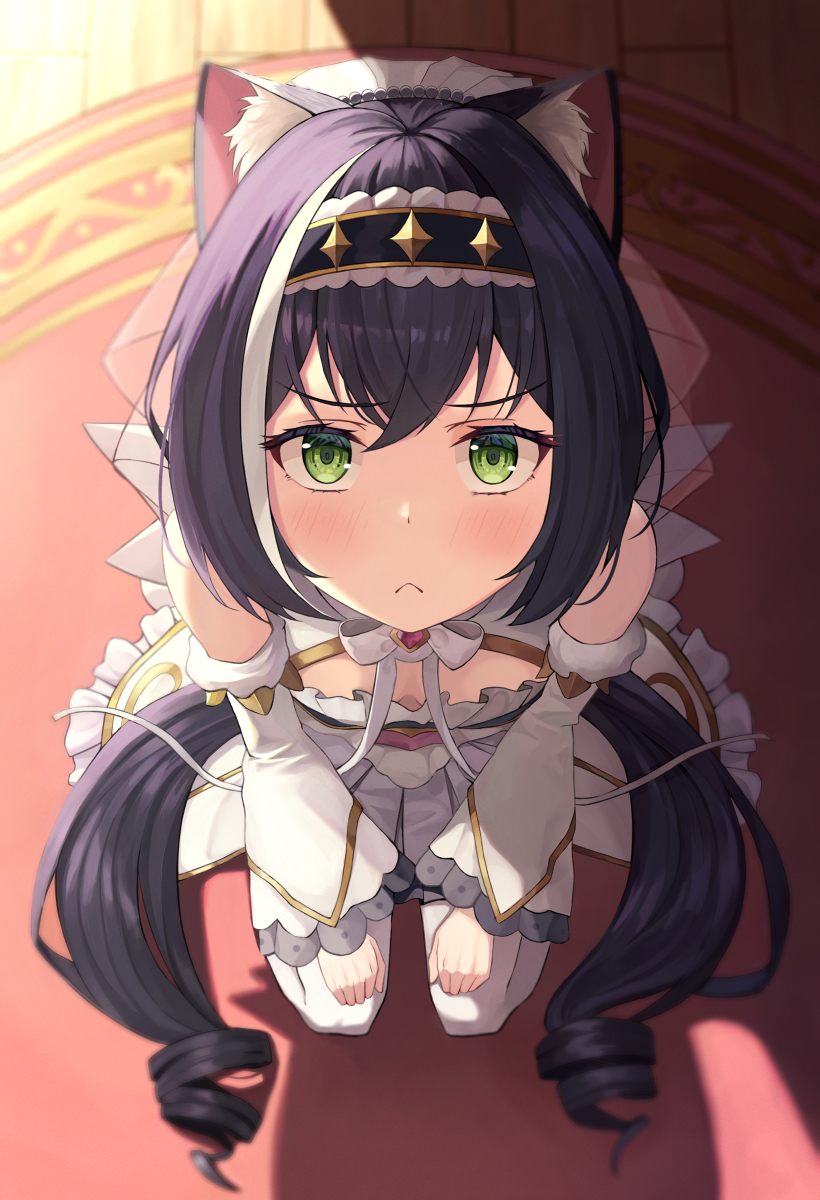 This is a pixiv picture whose title is プリンセスキャル.