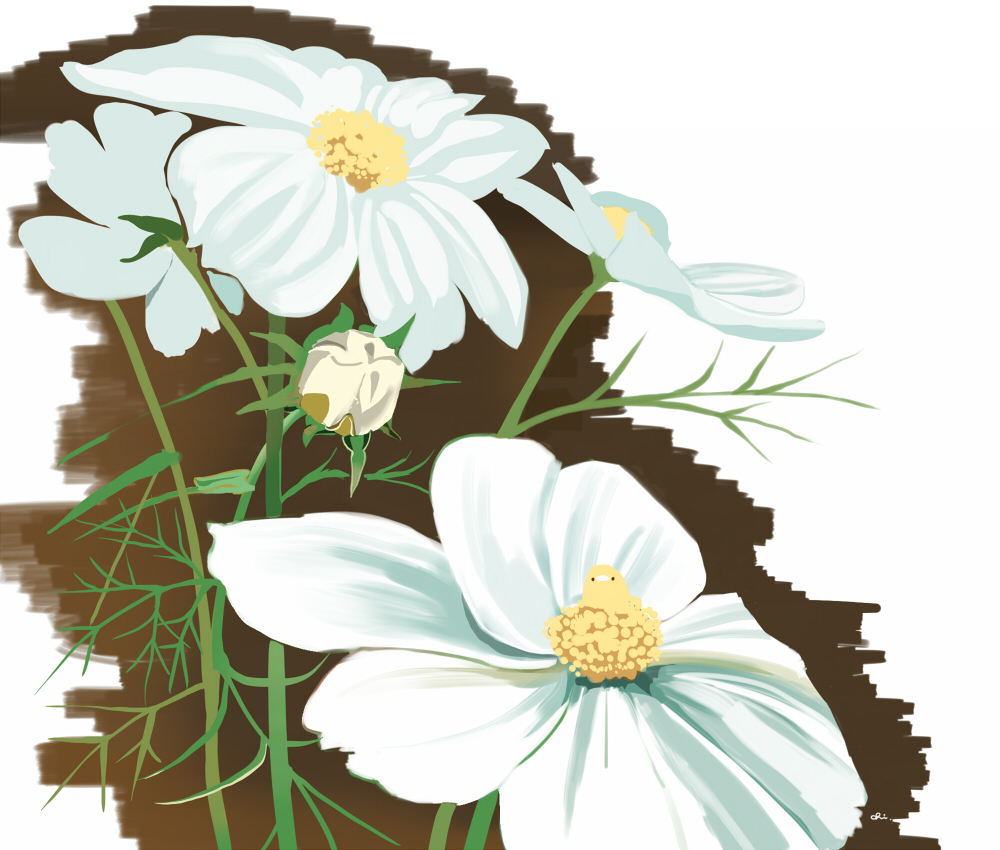 This is a pixiv picture whose title is コスモス.