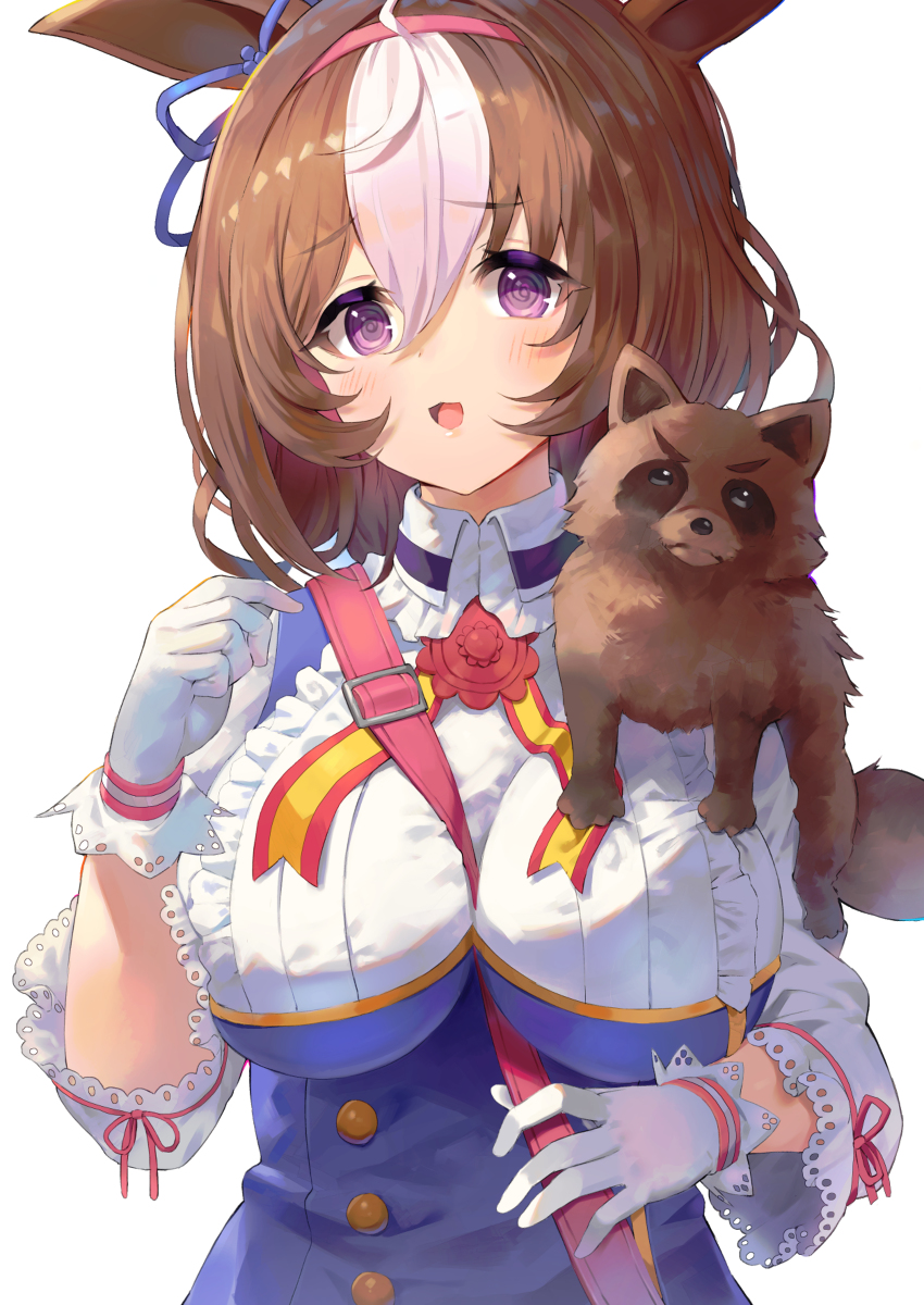 This is a pixiv picture whose title is タヌキさん.