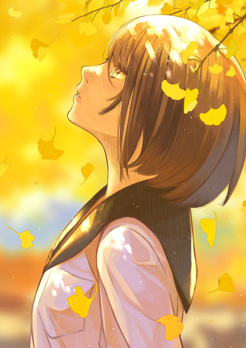 This is a pixiv picture whose title is 秋風.