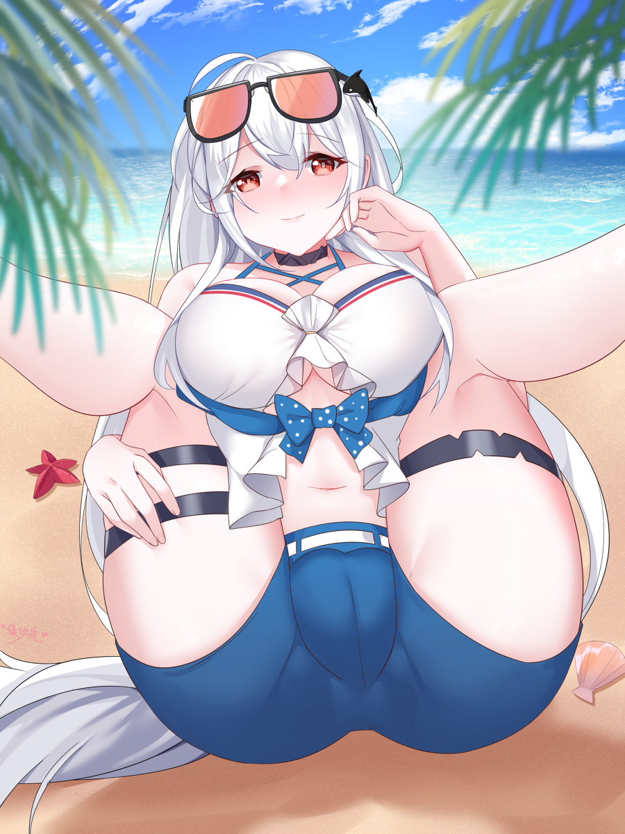 This is a pixiv picture whose title is 大虎鲸~.