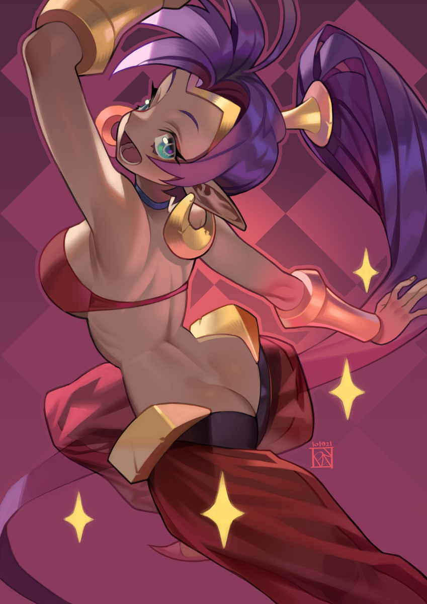 This is a pixiv picture whose title is Shantae.