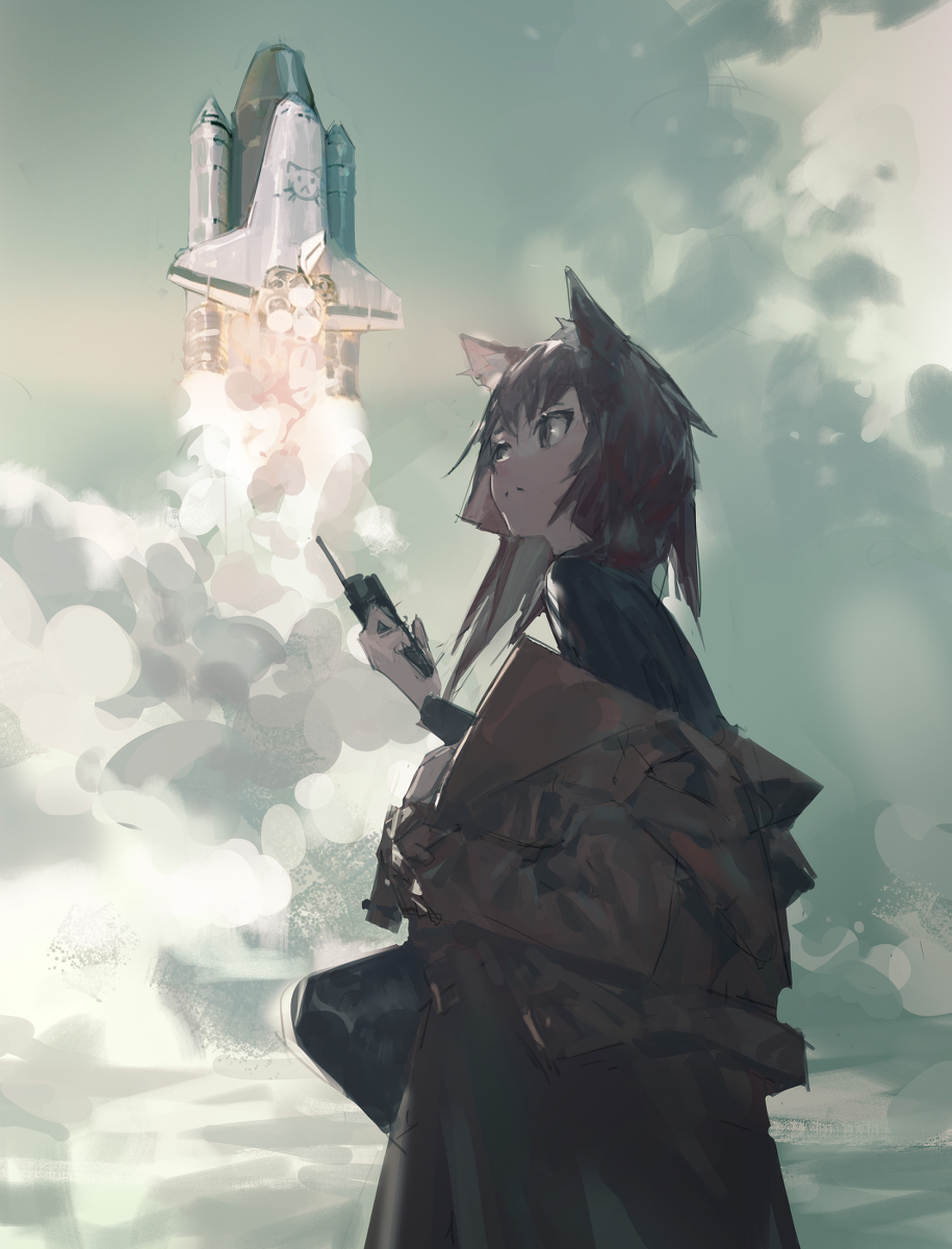 This is a pixiv picture whose title is cat rocket.