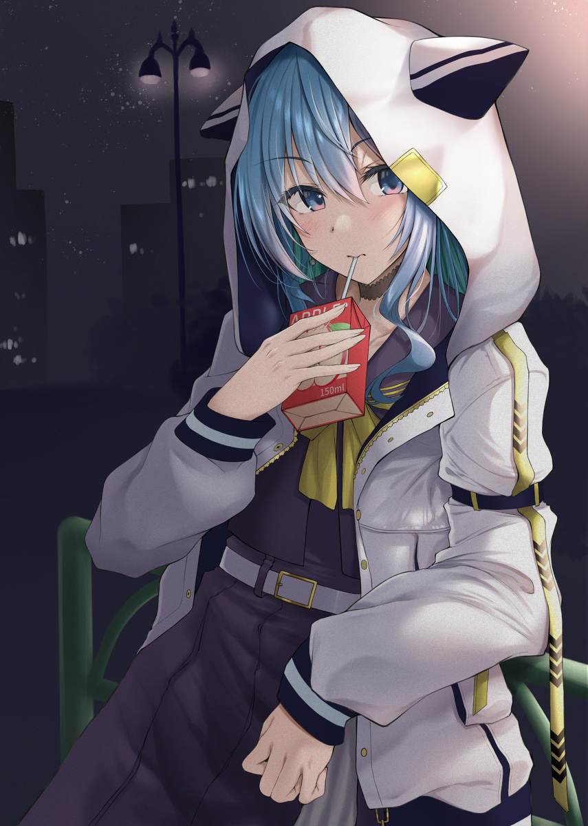 This is a pixiv picture whose title is 夜を歩く.