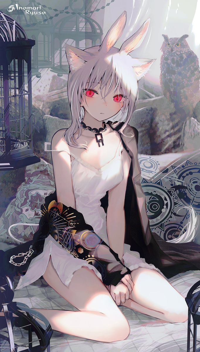 This is a pixiv picture whose title is 拾い者.