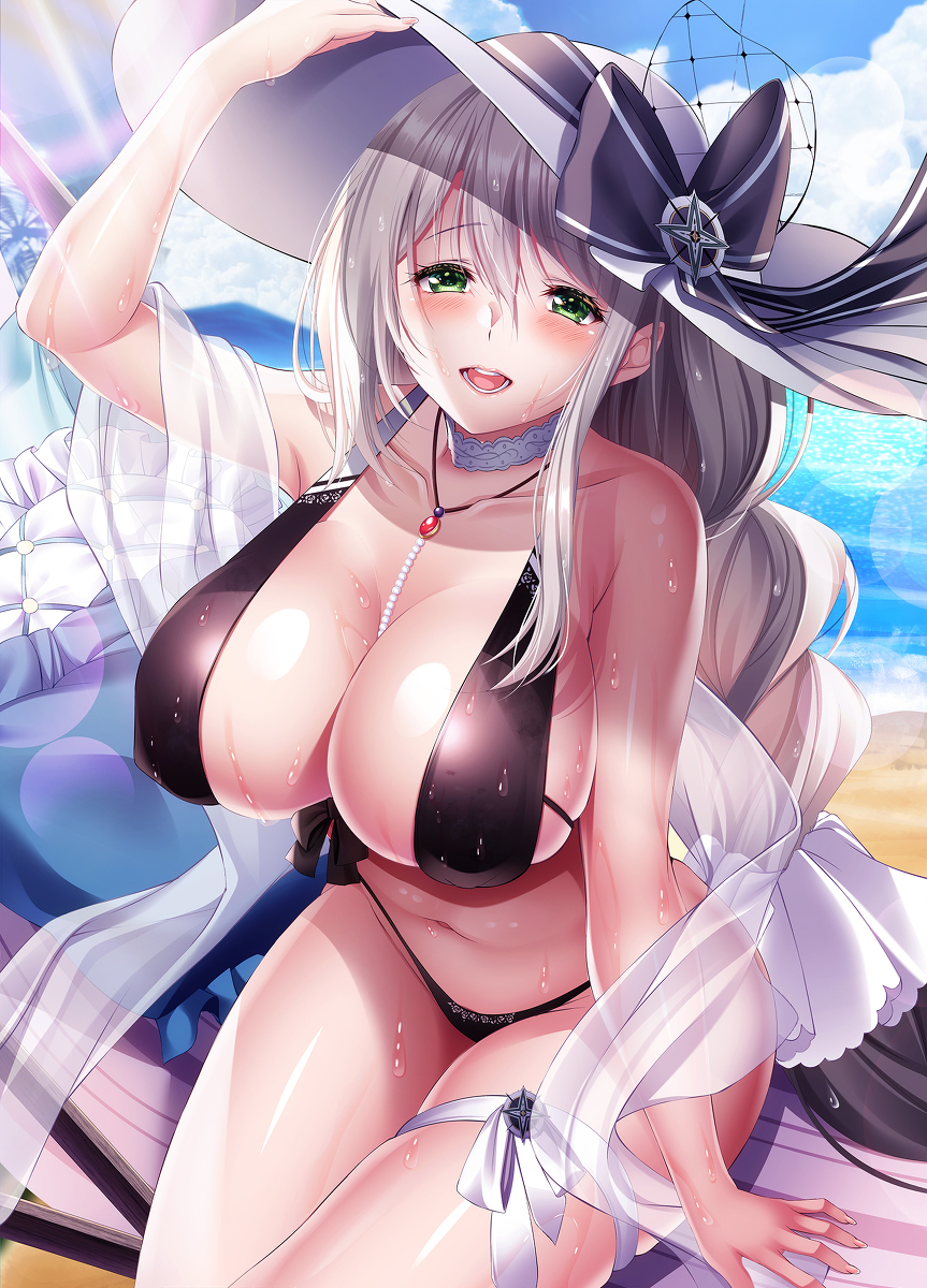 This is a pixiv picture whose title is アクィラ　浅瀬のホリデーサディア.