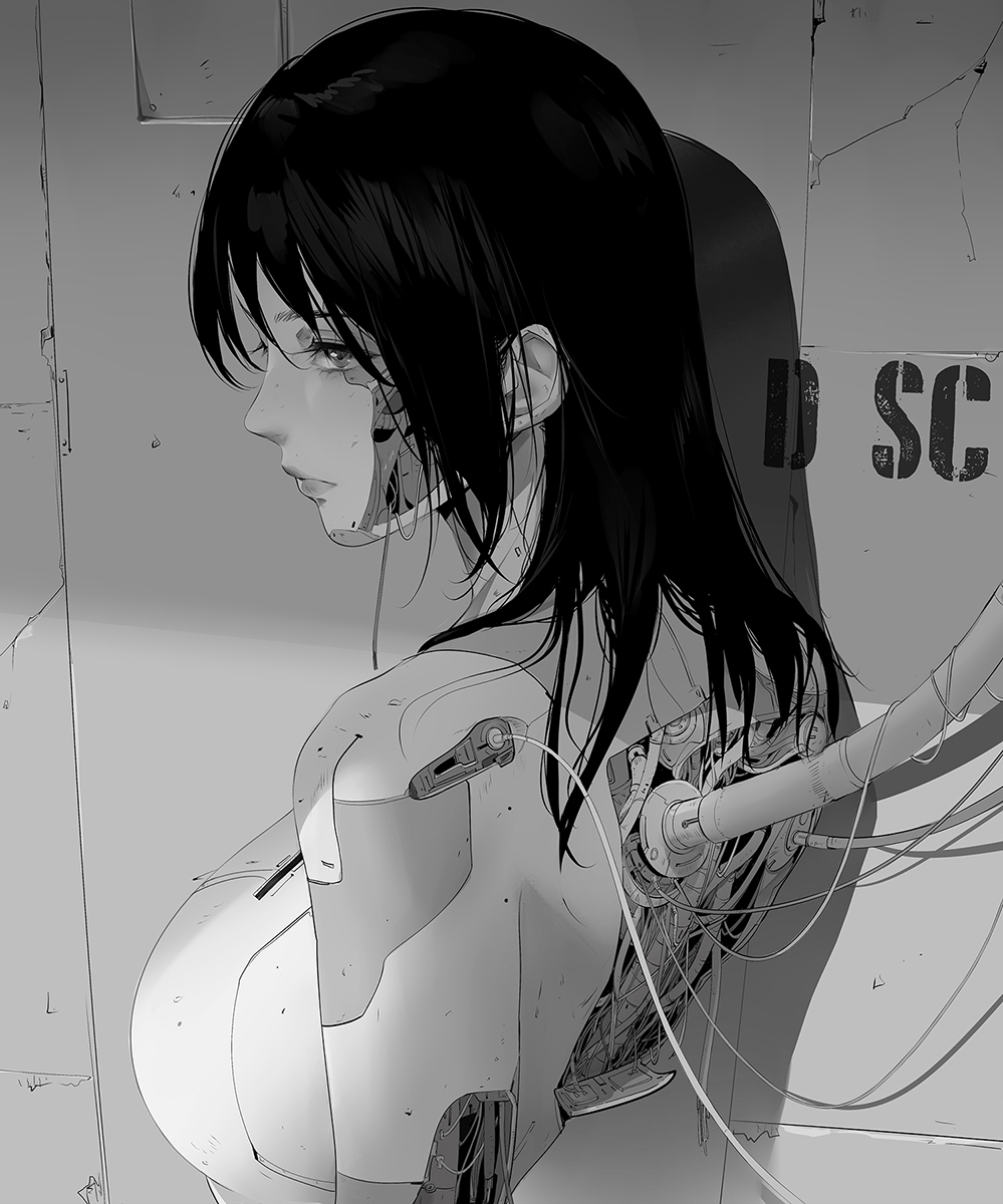 This is a pixiv picture whose title is D-00.