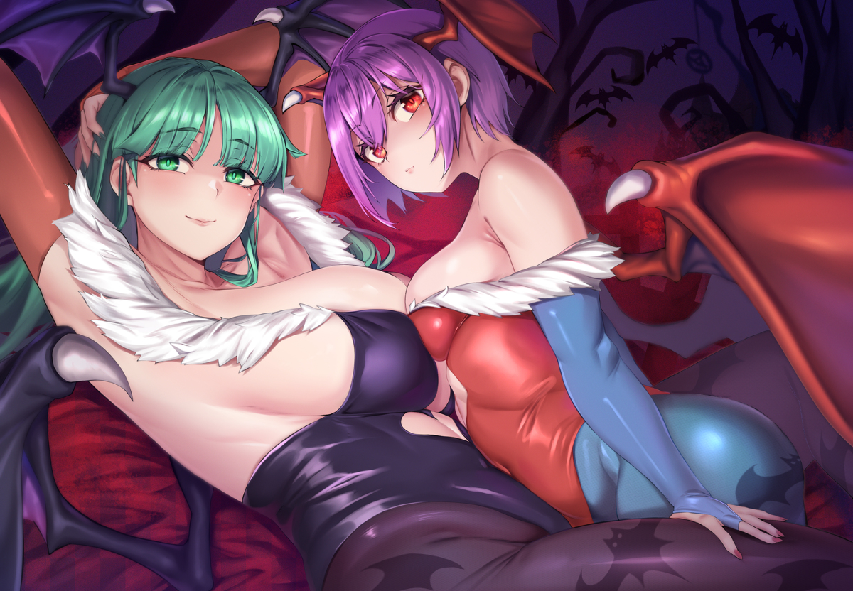 This is a pixiv picture whose title is Morrigan & Lilith.