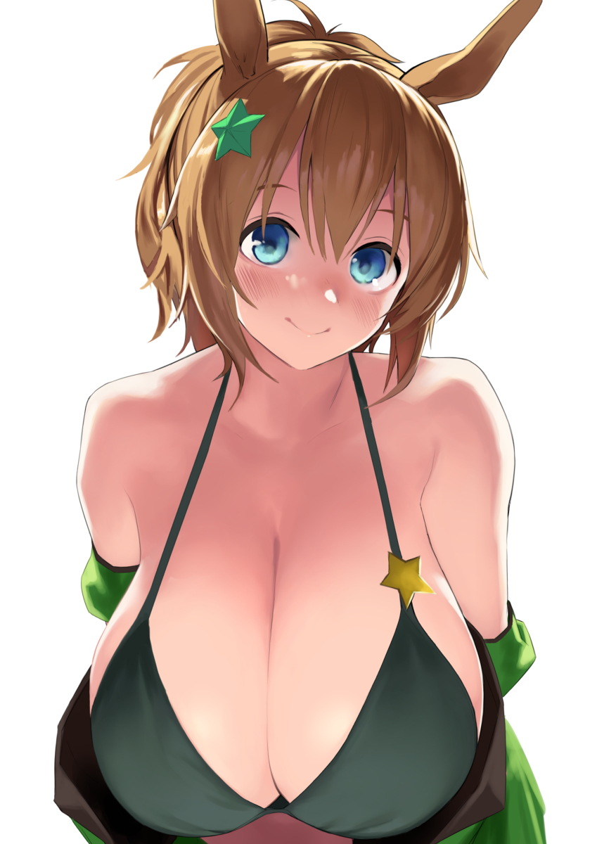 This is a pixiv picture whose title is ビキニシャトル.
