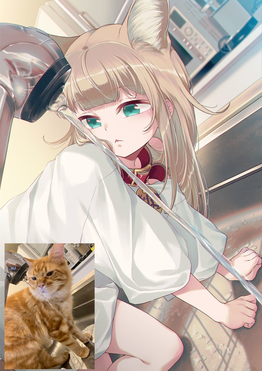 This is a pixiv picture whose title is キッチンを満喫するきなこ🚿🐈.