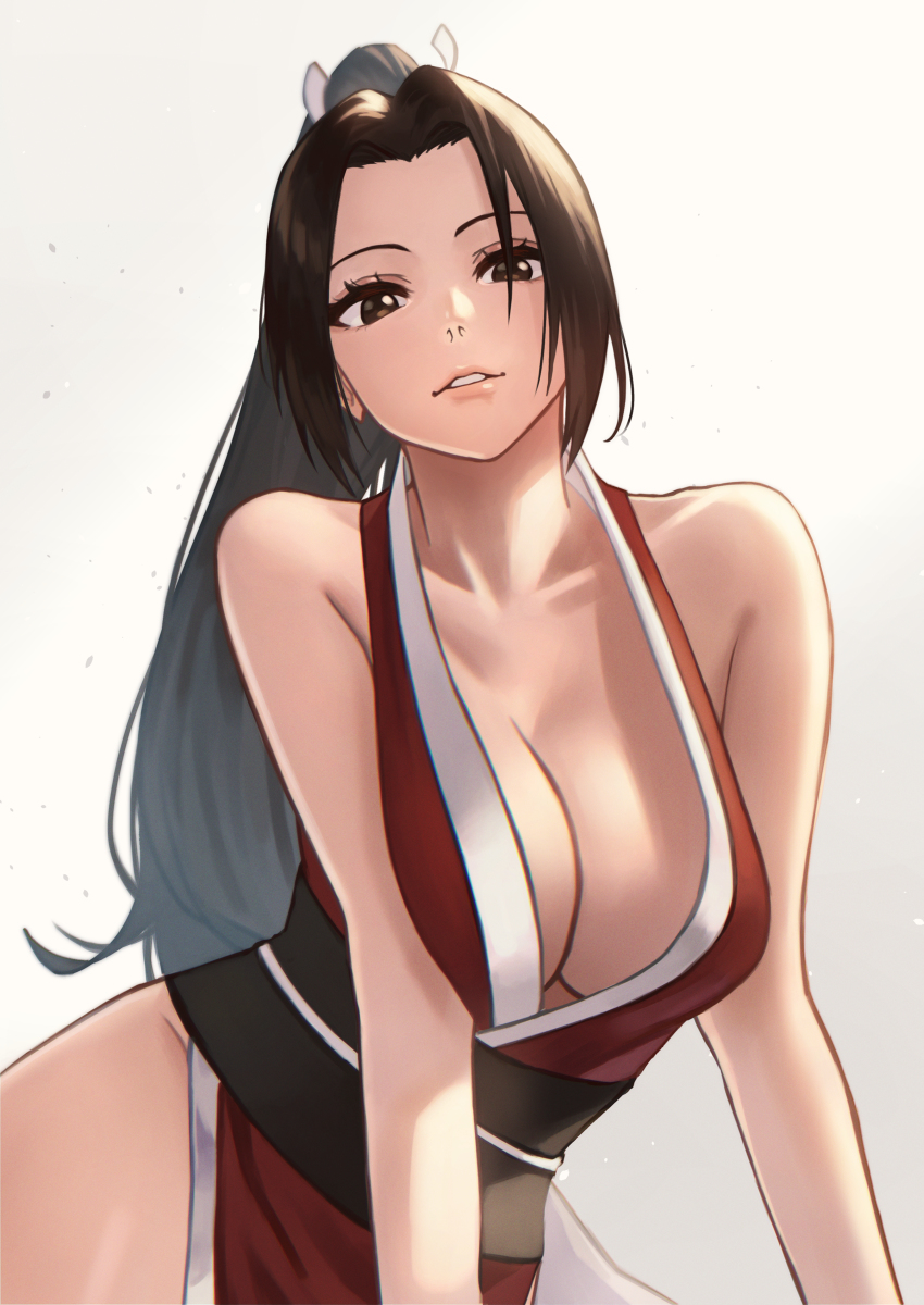 This is a pixiv picture whose title is 不知火舞.