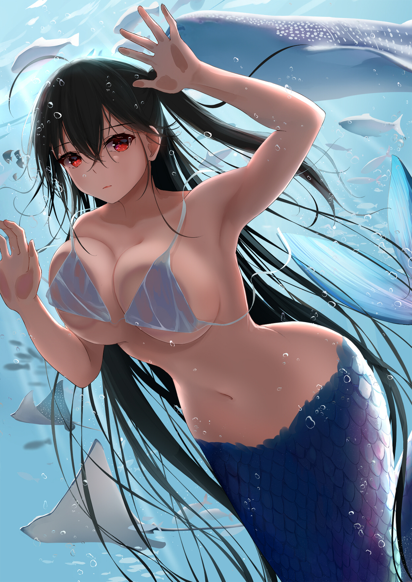 This is a pixiv picture whose title is 大鳳を飼う水族館.