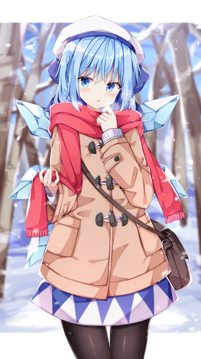 This is a pixiv picture whose title is 冬服チルノちゃん.