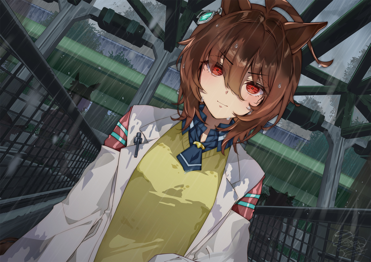 This is a pixiv picture whose title is 雨重のゲートイン.