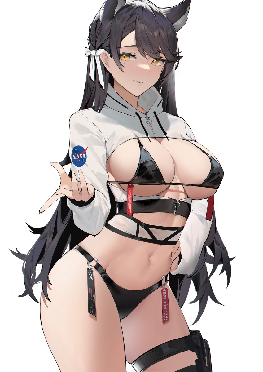 This is a pixiv picture whose title is Atago commission.