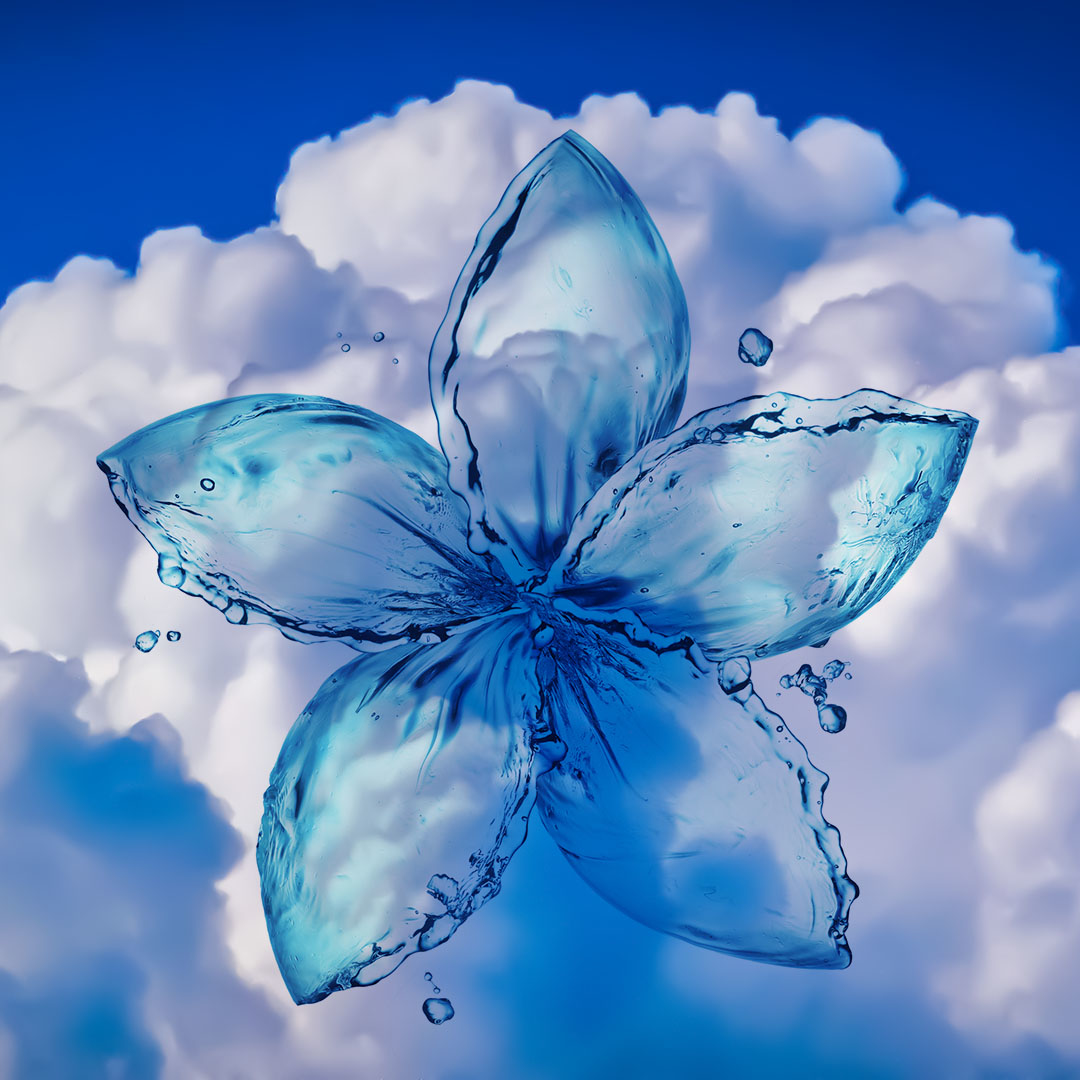 This is a pixiv picture whose title is 水の花.