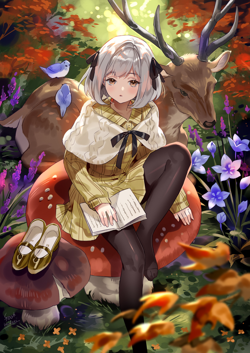 This is a pixiv picture whose title is 秋を読む.