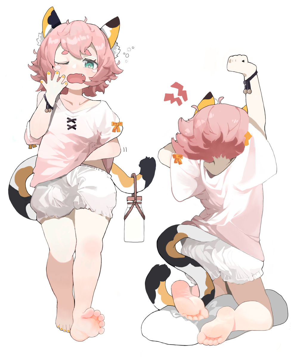 This is a pixiv picture whose title is 清晨猫猫.