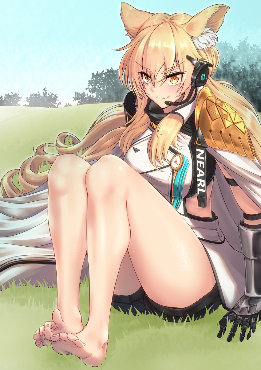 This is a pixiv picture whose title is 耀騎士临光 Nearl ニアール.