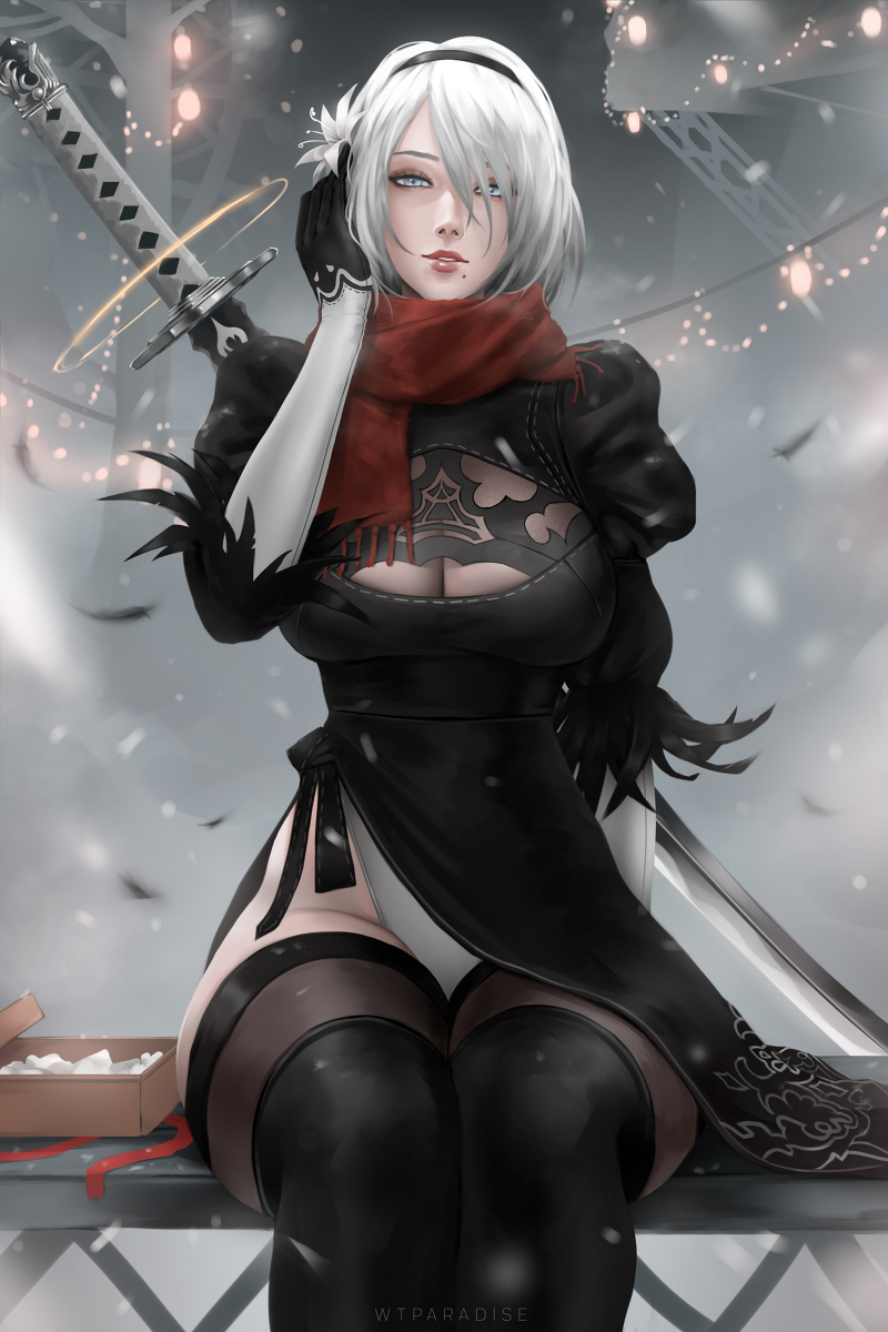 This is a pixiv picture whose title is 2b.