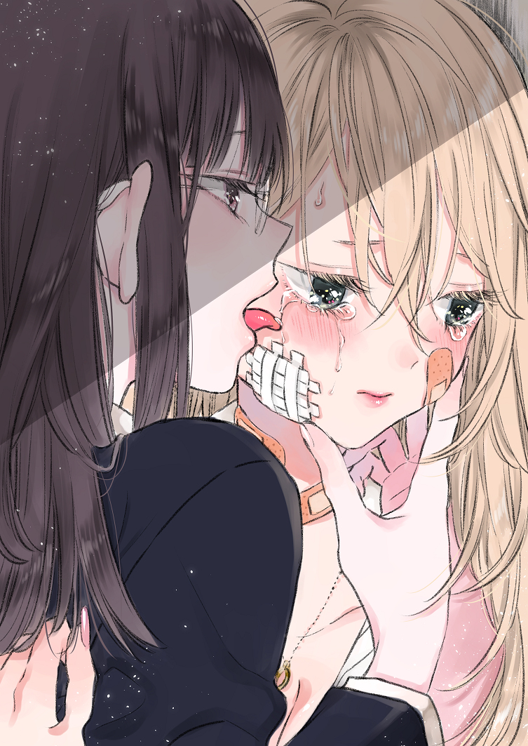 This is a pixiv picture whose title is 秘密.