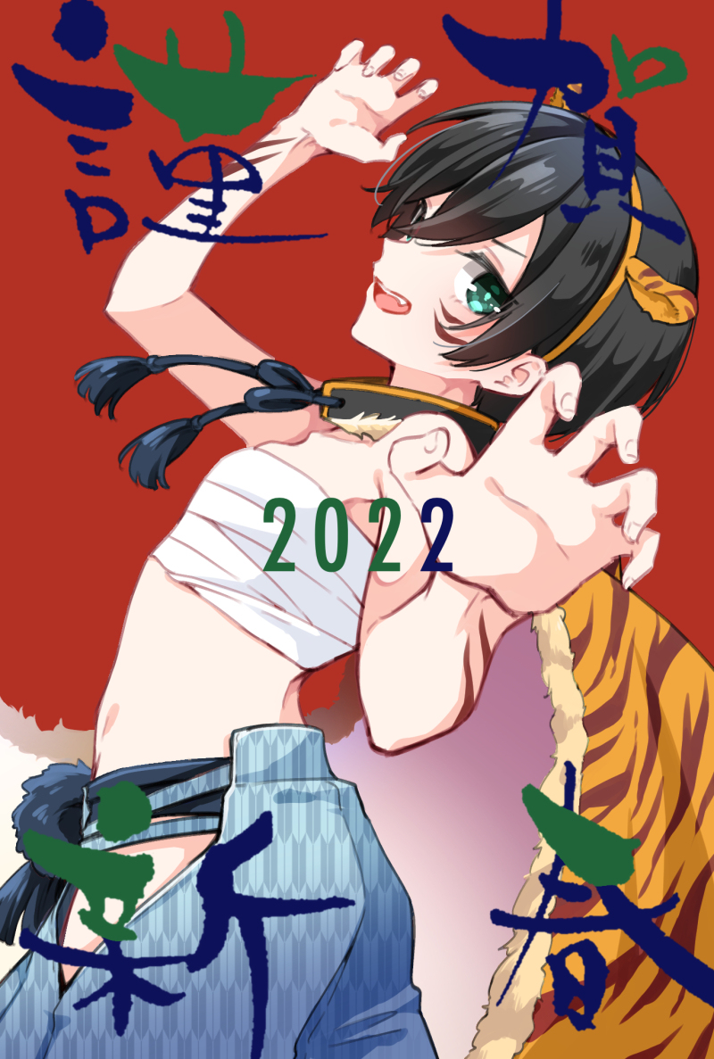 This is a pixiv picture whose title is あけおめです！.