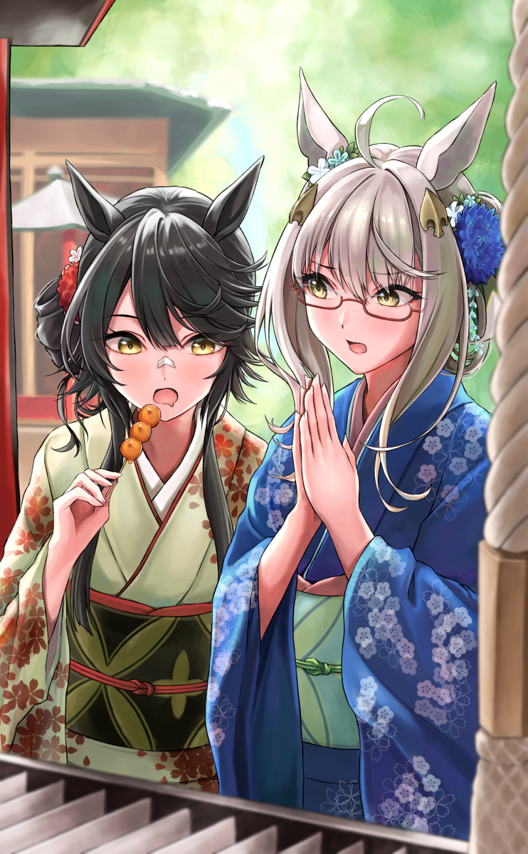 This is a pixiv picture whose title is 初詣する姉妹.