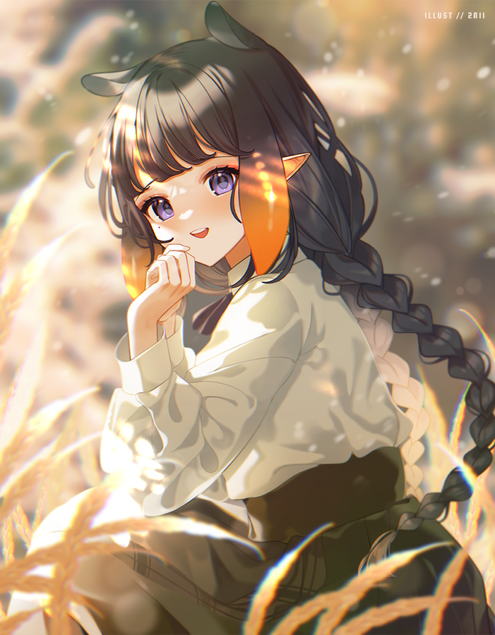 This is a pixiv picture whose title is 旅の途中.