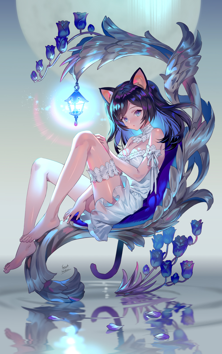 This is a pixiv picture whose title is お気に入りの場所.