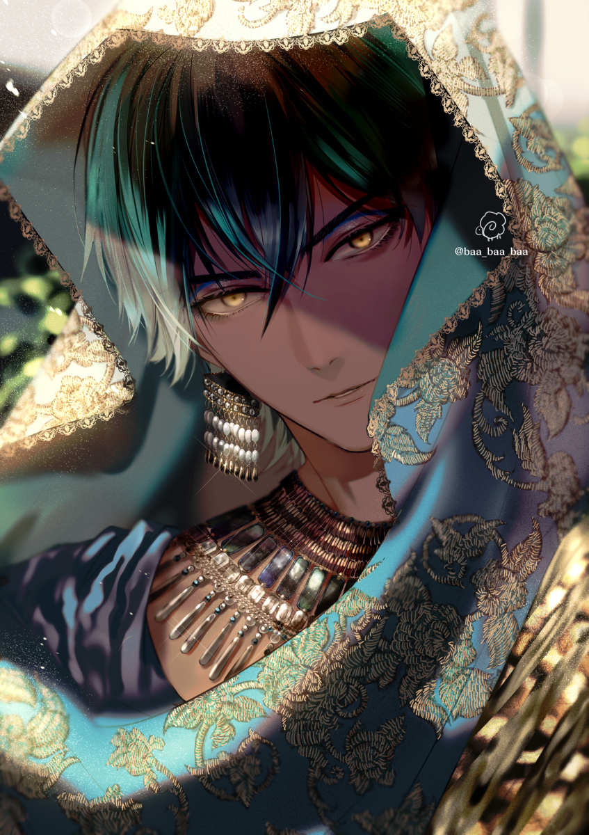 This is a pixiv picture whose title is 装飾.