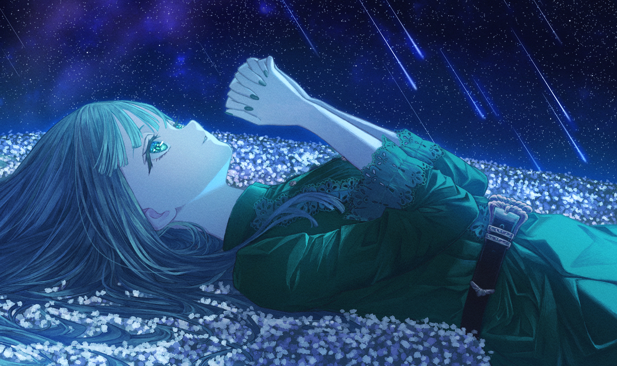 This is a pixiv picture whose title is 『月と夜空に願いと祈り』.