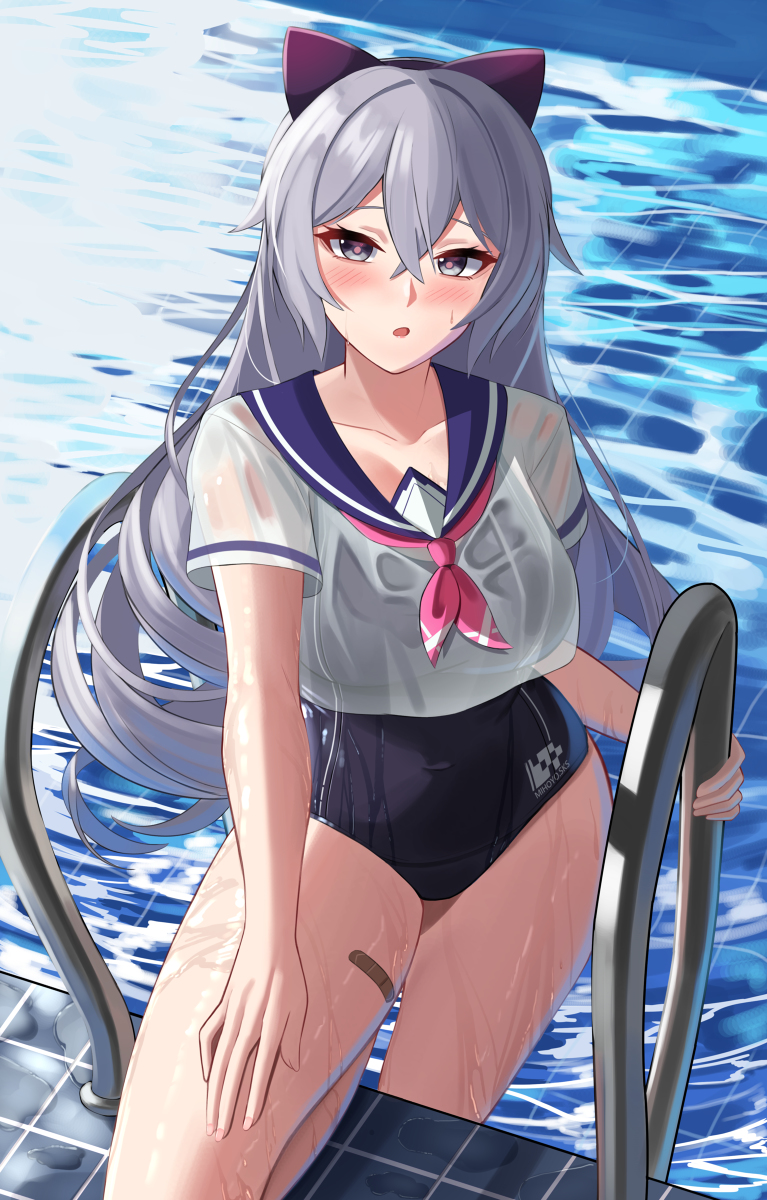 This is a pixiv picture whose title is Bronya School Swimsuit.