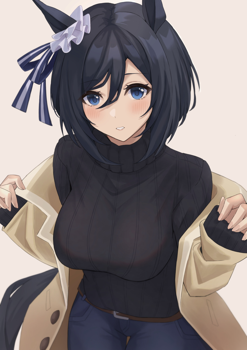 This is a pixiv picture whose title is エイシンフラッシュ（ニット）.