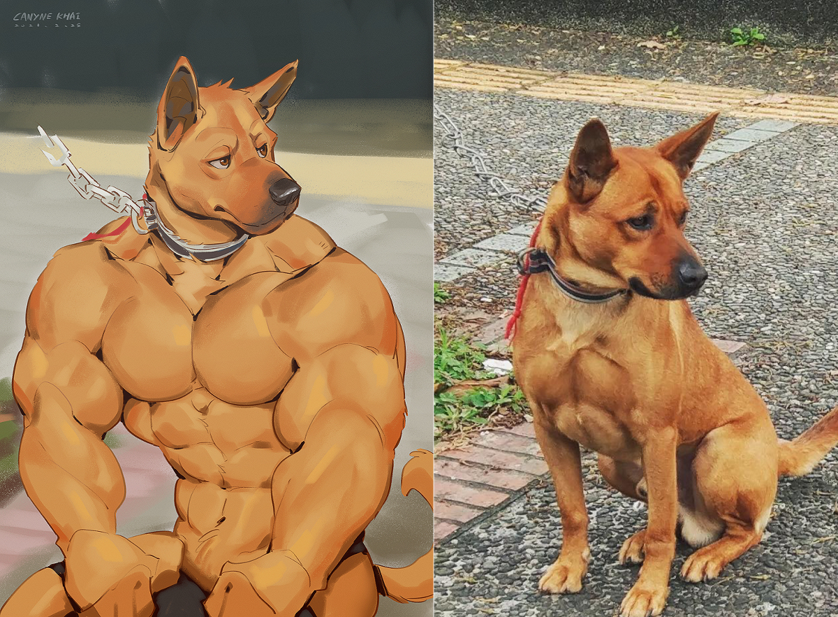 This is a pixiv picture whose title is Big chest dog.