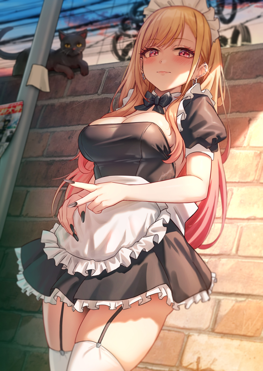 This is a pixiv picture whose title is ご主人様？.