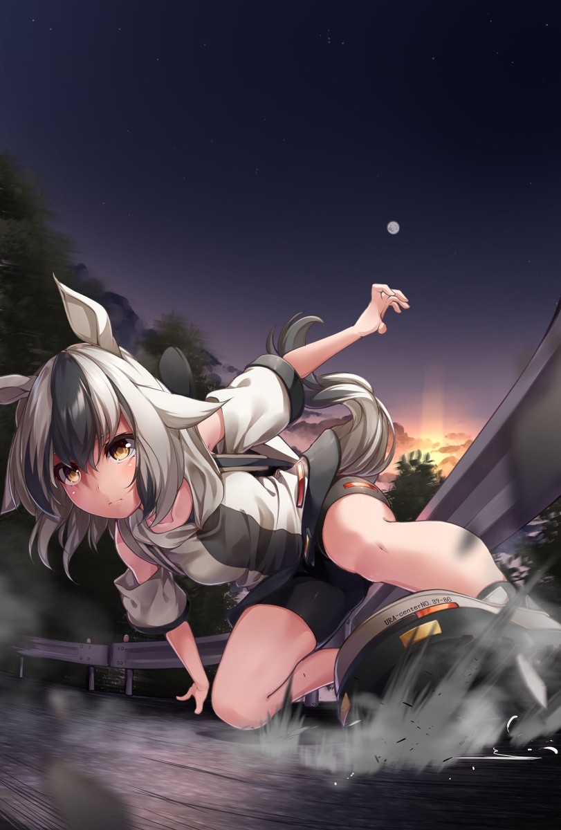 This is a pixiv picture whose title is RIDGE STATE.