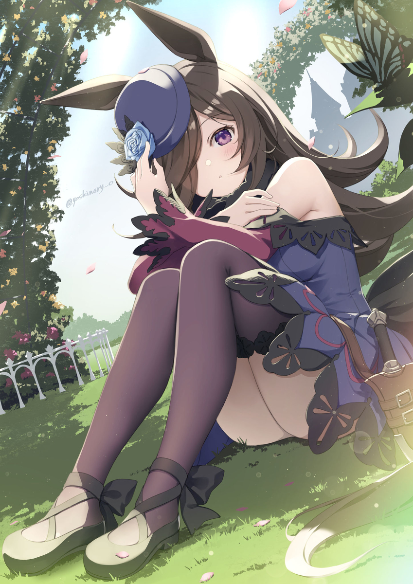 This is a pixiv picture whose title is ライスシャワー.